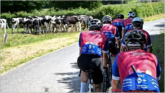 Des cyclistes sur la route de la Ronde Normande