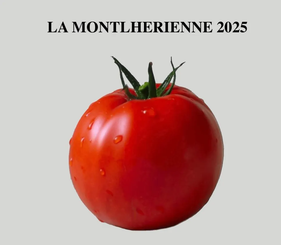 Une entête avec une tomate et le nom de la randonnée, la Monthlérienne 2025